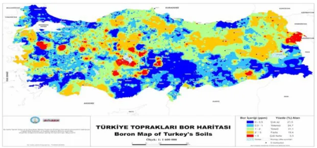 Şekil 1. 7: Türkiye’nin Bor Rezervleri(22) 