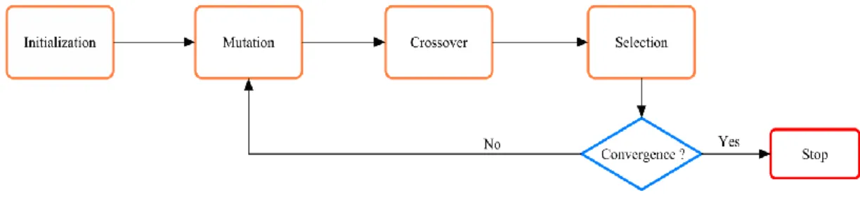Figure 4.1: Flowchart of the DE algorithm. (Adapted from Vo-Duy et al., 2017)  The first step of DE optimization process is initialization