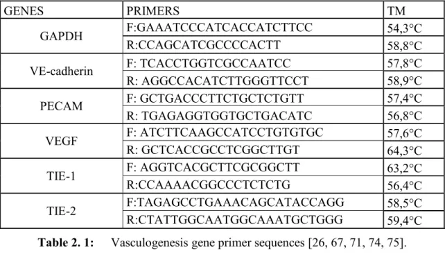 Table 2. 1:  Vasculogenesis gene primer sequences [26, 67, 71, 74, 75].  For qPCR analysis, Power SYBR Green PCR Master Mix (Appliedbiosystems,  4367659 ) was used and the experiment was realized with StepOne Real-Time PCR  Systems  (Appliedbiosystems)