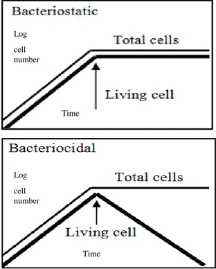 Figure 1.2 : Bacteriostatic and bacteriocidal activity [4]. 