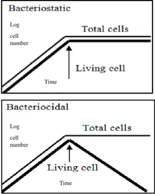Figure 1.2 : Bacteriostatic and bacteriocidal activity [4]. 