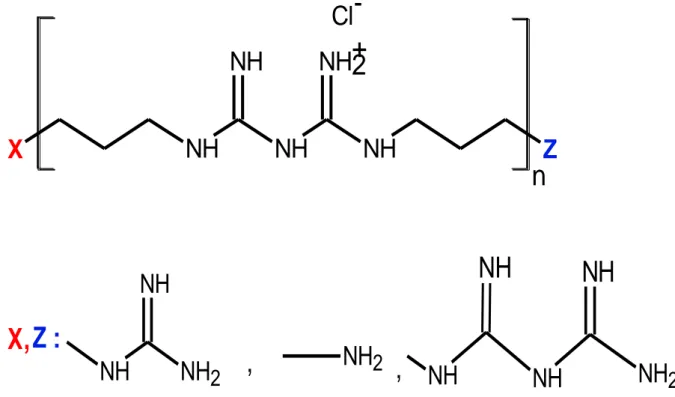 Figure 1.8 : Chemical structure of Poly(hexamethylenebiguanide) [72].  PHMB,  shows  much  more  antimicrobial  activity  than  the  monomeric  or  dimeric  biguanides