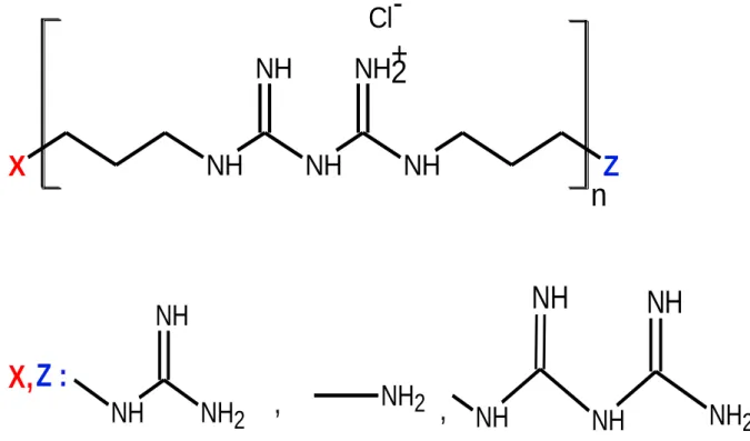 Figure 1.8 : Chemical structure of Poly(hexamethylenebiguanide) [72].  PHMB,  shows  much  more  antimicrobial  activity  than  the  monomeric  or  dimeric  biguanides