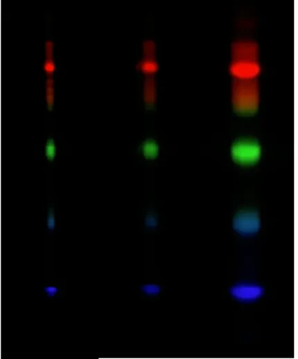Figure  2.7:  The  spectral  images  obtained  by  using  different-sized  (0.25mm,  0.5mm,  1mm 