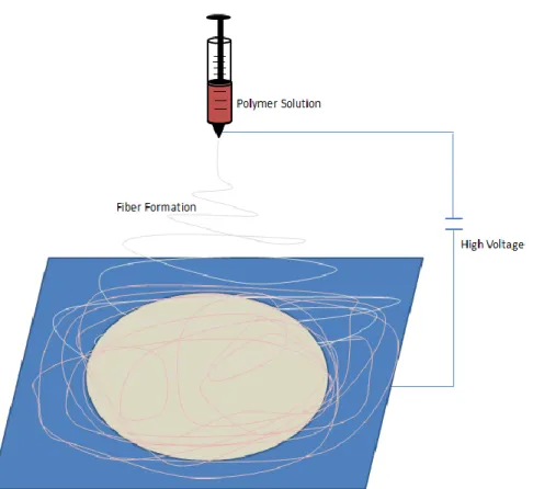 Figure 2.11: Schematic representation of the electrospinning setup. 