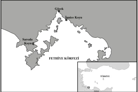 Şekil 2.2 Örnekleme bölgesi genel haritası 