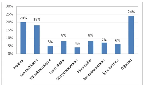 Grafik 2. Su ürünleri sektöründe meydana gelen iş kazalarının nedenleri ve  meydana gelme sıklıkları (SGK, 2008-2012)