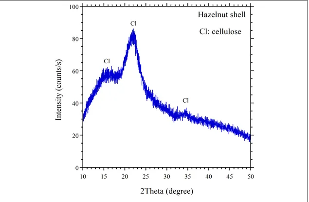 Figure 4.6: XRD patterns for powdered hazelnut shell.  4.1.3 Microstructural analysis 