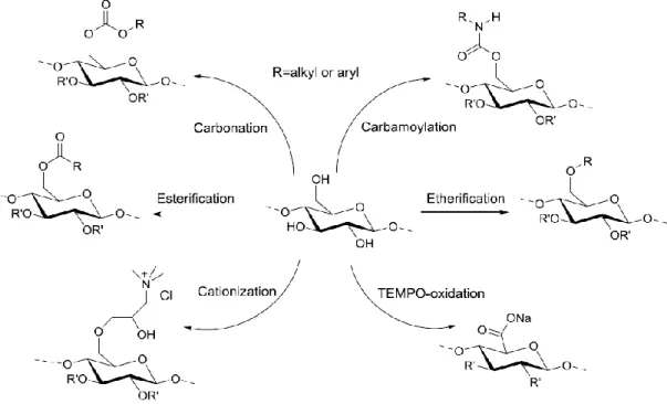 Figure 1.5: Various types of cellulose modification 