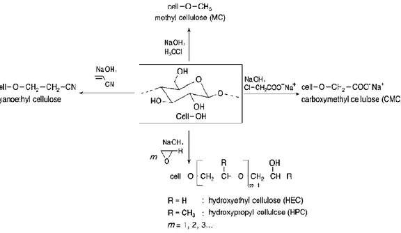 Figure 1.6: The synthesis and examples of cellulose ethers 