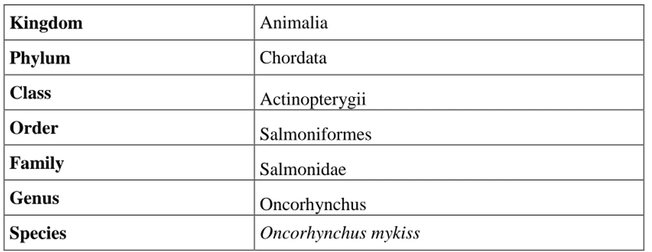 Tablo 1.1: GökkuĢağı Alabalığı Taksonomisi (Behnke, 2002). 