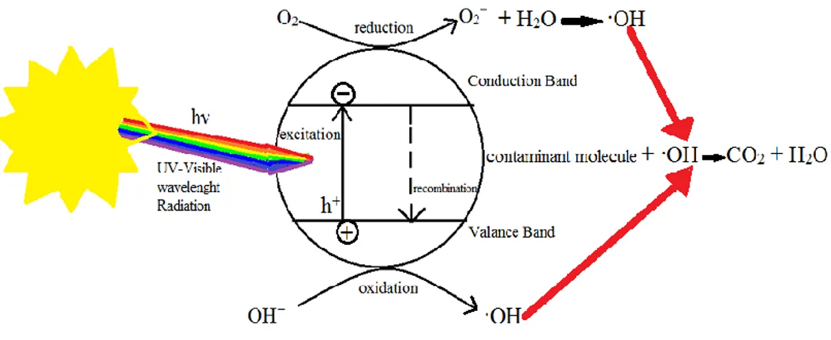 Figure 2.2: Schematic illustration of the semiconductor materials when used for degradation  contaminants in water under the sunlight
