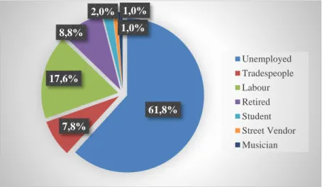 Figure 5.7: Job occupation of responders 