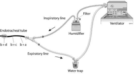 Figure 1.2: Endoracteal tube and its connections 