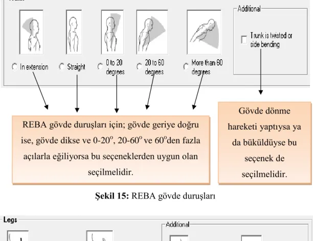 Şekil 15: REBA gövde duruşları 