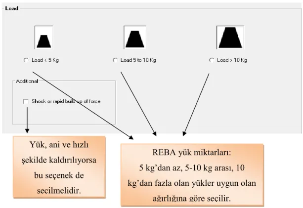 Şekil 17: REBA yük miktarları 