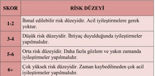 Tablo 4: RULA skorları ve risk düzeyleri 
