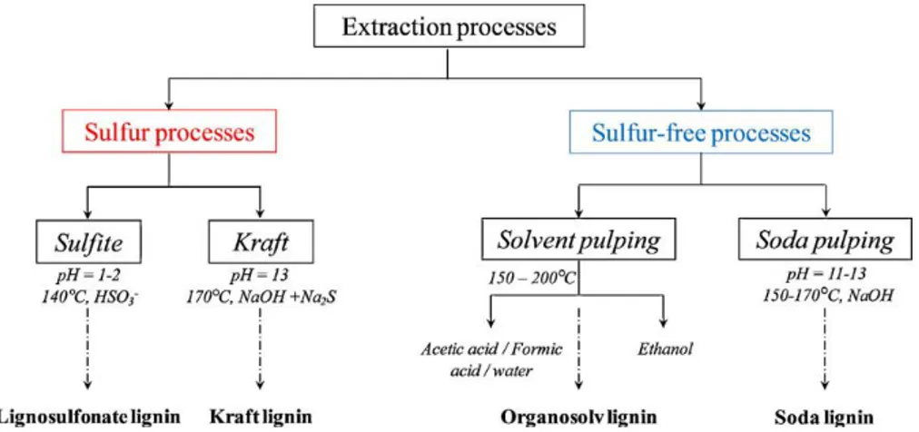 Figure  1.6:  Different  extraction  processes  to  separate  lignin  from  Lignocellulosic  biomass  and the corresponding productions of technical lignins (Laurichesse and Avérous, 2014)