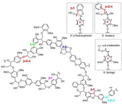 Figure 1.8: Principal linkages and functional groups in soda lignin (Joffres et al., 2014)  1.4.4 The potential and application of soda lignins 