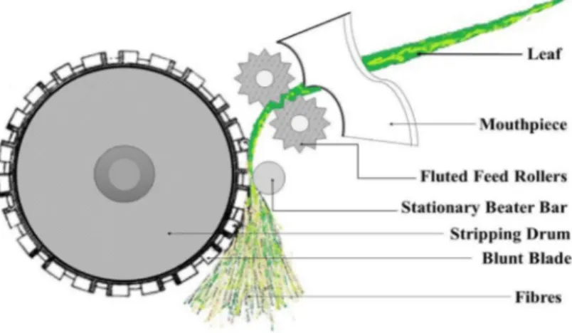 Figure 1.9: Cross sectional view of stripper/decorticator [30].  1.5.3 Chemical retting 