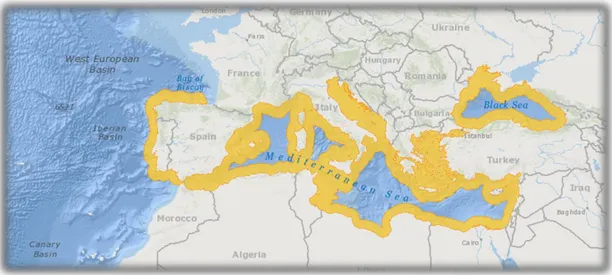 ġekil 1.3: Syngnathus abaster türünün dünya denizlerindeki dağılımı  (Dawson,1986). 