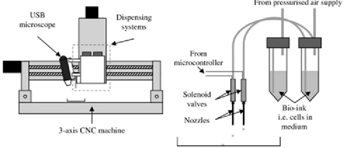 Figure 2.16 : 3D cell printing set-up (Faulkner-Jones et al. 2013). 