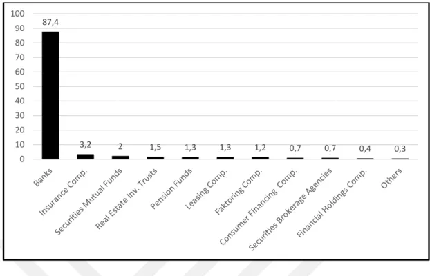 Figure 2:2 Distribution of the Balance Sheet Size of the Financial Sector 