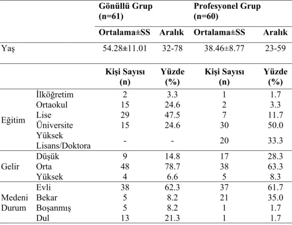 Tablo 4.1. Örneklemin Sosyodemografik Özellikleri 