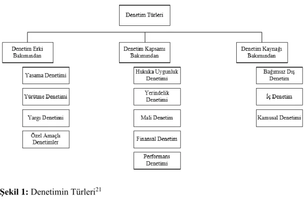 Şekil 1: Denetimin Türleri 21