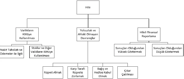 Şekil 2: Suistimal Kategorileri   