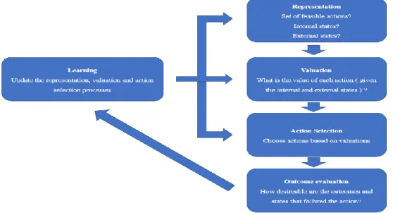 Figure 3 Basic Computations Involved in Decision Making (Rangel, Camerer,  Montague, 2008) 