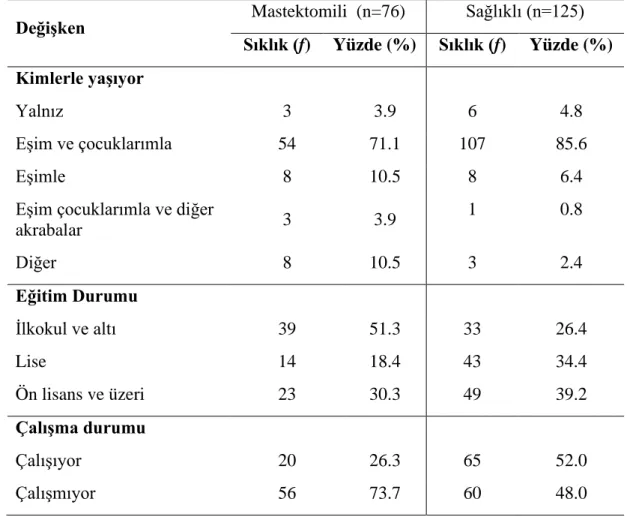 Tablo 2. 1. Katılımcılara Ait Sosyodemografik Değişkenlere İlişkin Sıklık ve  Yüzdelik Değerleri 