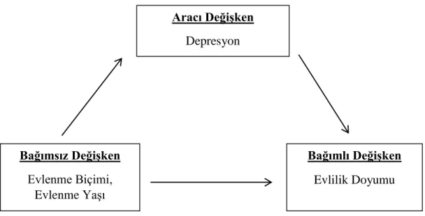 Şekil 1.1. Öngörülen aracı modeldeki ilişkiler 