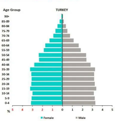 Figure 10 Age Group Pyramid 