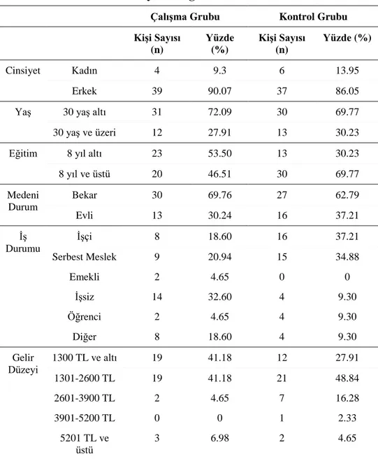 Tablo 3.1. Örneklemin Sosyodemografik Özellikleri 