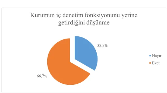 Şekil 4-9. İç Denetim Fonksiyonu 