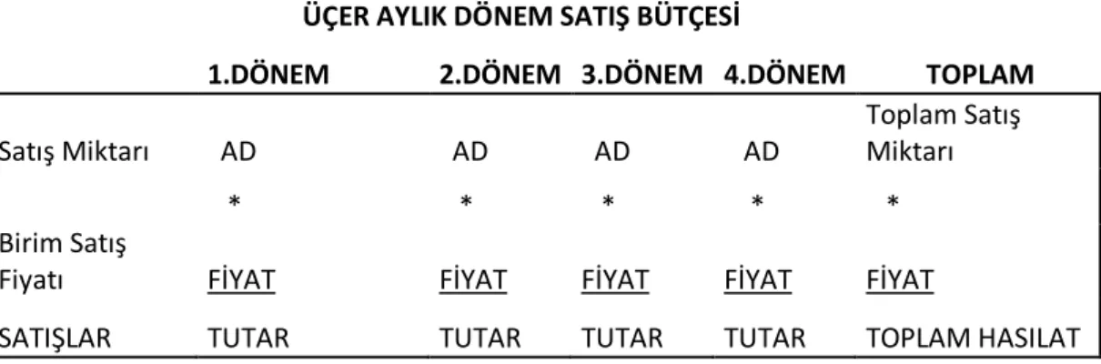 Çizelge 2.2:Satış Bütçesi Taslağı 