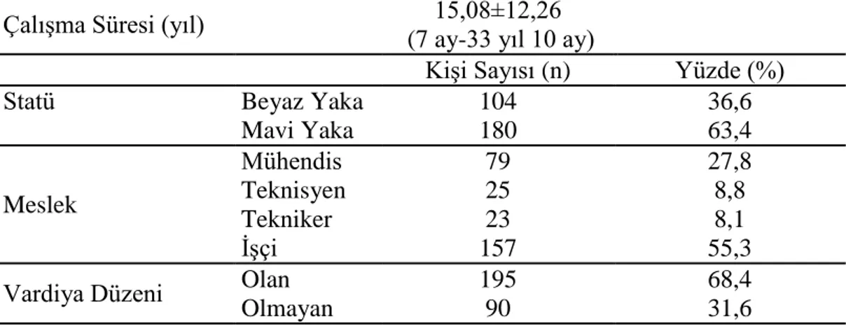 Tablo 3.2. Örneklemin İşe Dair Özellikleri 