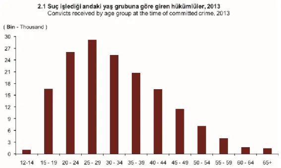 Grafik 3. Suç İşlediği Andaki Yaş Grubuna Göre Giren Hükümlüler Grafiği, 2013  Kaynak: TÜİK, Ceza İnfaz Kurumu İstatistikleri, 2013 ( http://www.tuik.gov.tr) 