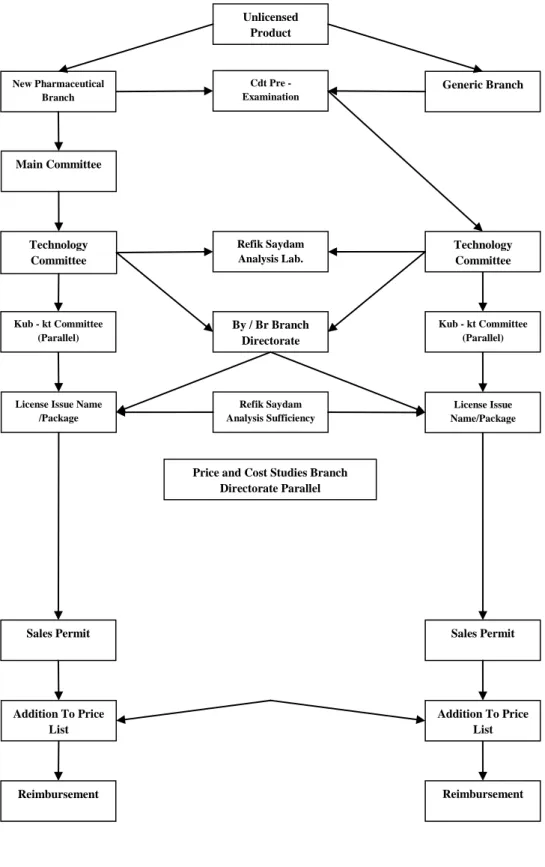 Diagram No.2 Summary of the Licensing Procedures [25] 