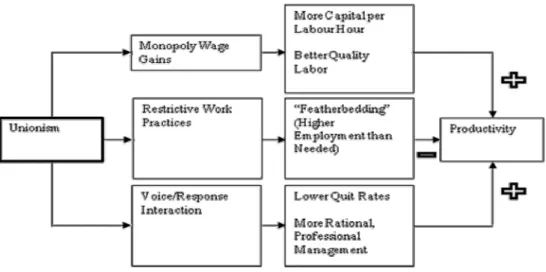 Figure 3. 1 Positive and Negative Effects of Unionism on Productivity 