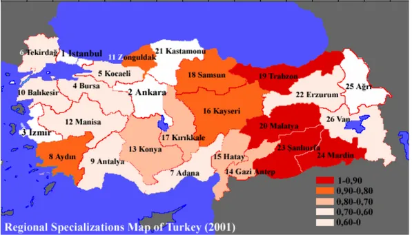 Figure 5.2 : Regional Specialization Map of Turkey (2001) 
