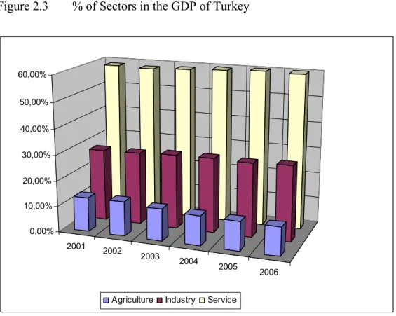 Figure 2.3  % of Sectors in the GDP of Turkey  2001 2002 2003 2004 2005 20060,00%10,00%20,00%30,00%40,00%50,00%60,00%