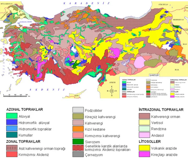 Şekil 13: Türkiye Başlıca Toprakları Haritası ile İşaretleri (Url: 3)  2.6.3. Azonal Topraklar 