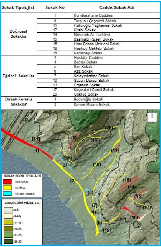 Şekil 3.18.: Hasköy’de sokak form tipolojisi-doğrusal/eğrisel sokaklar. 