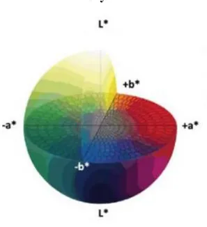 Şekil  4.1. CIE L*, a*, b* renk uzayı (xrite.com, 2019) 