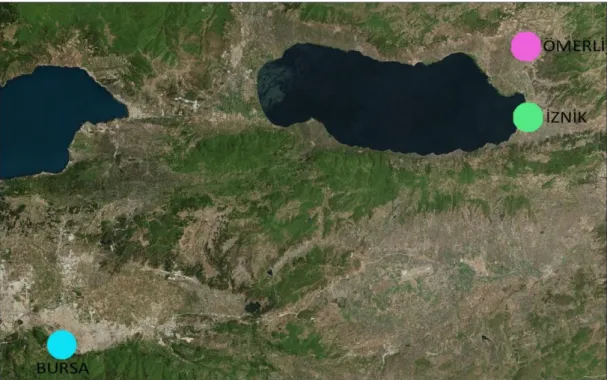 Şekil 3.3 Bursa, İznik ve Ömerli konum haritası (URL 15) 