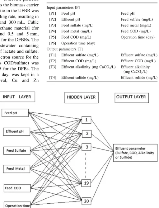 Fig. 1 ANN structure for prediction of reactor effluent parameters for scenario 1 (effluent pH was removed from the input parameters in scenario 2)