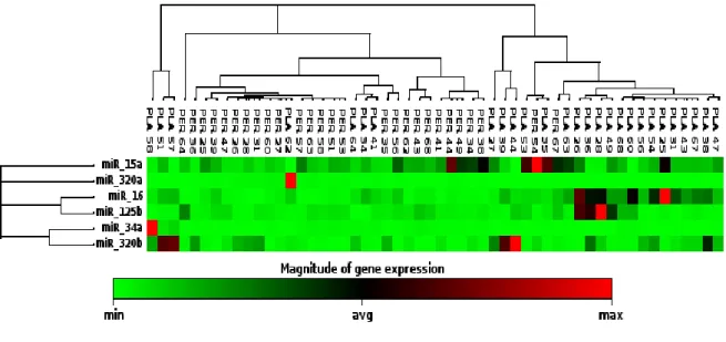 Figure 4.  Heatmap graphic for miRNAs in PF and Plasma (Green colored samples are expressed at minimum 