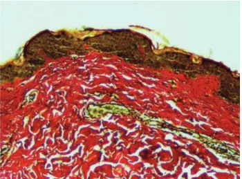 Figure 3. Figure 3. Figure 3. Figure 3. 
